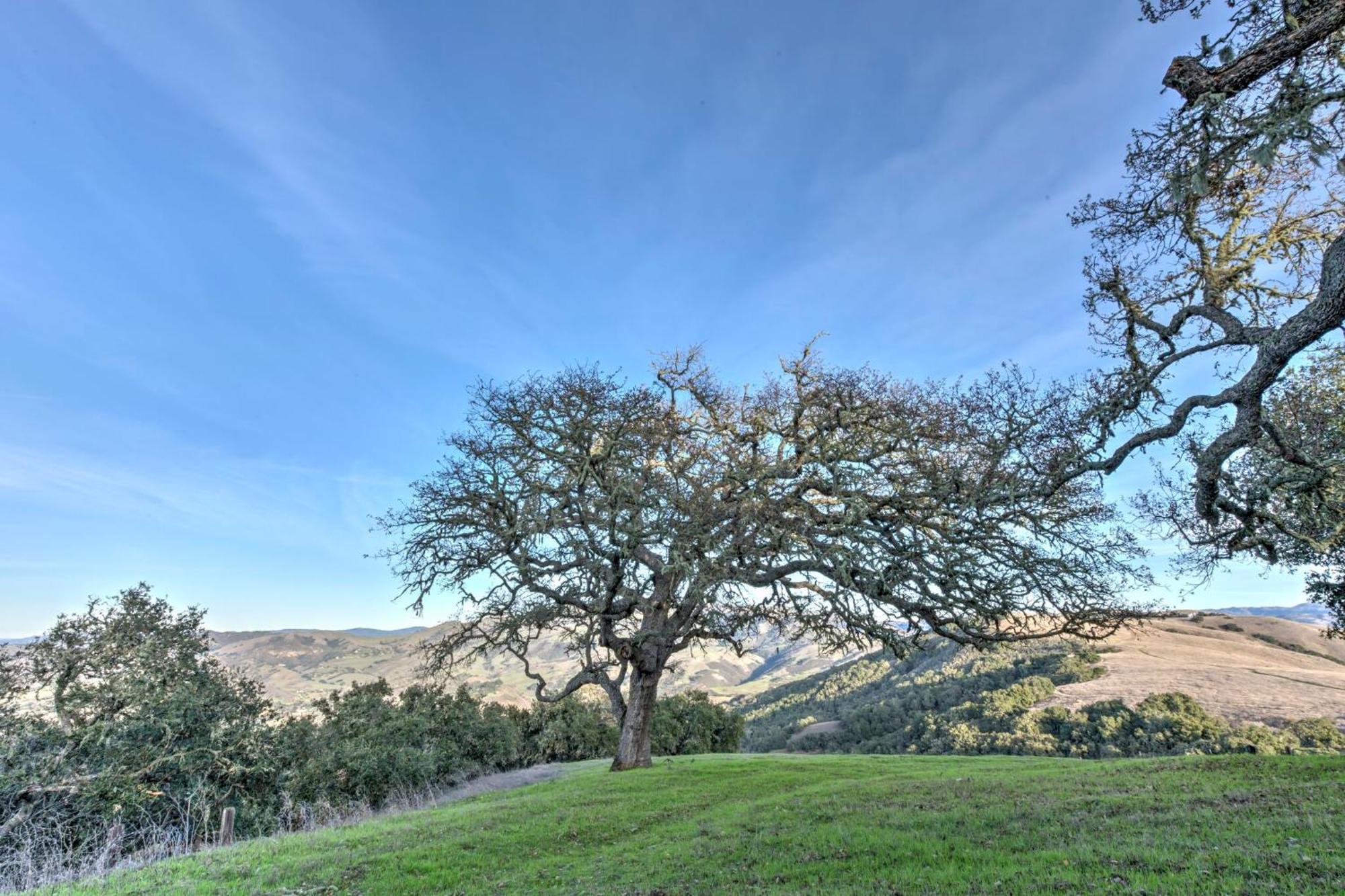 Lx37 Weathertop Ranch In Carmel Wine Country Carmel Valley Kültér fotó